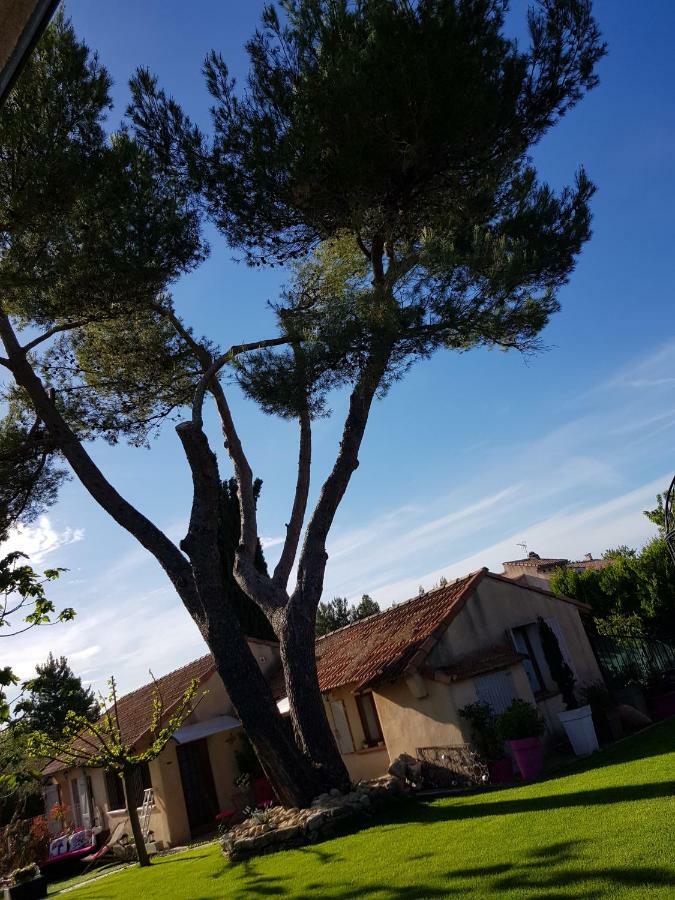 A L'Oree Du Pin Aix-en-Provence Bagian luar foto